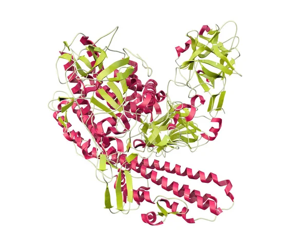 Molécula Neurotoxina Tétano Ilustração Esta Uma Proteína Neurotoxina Produzida Pela — Fotografia de Stock