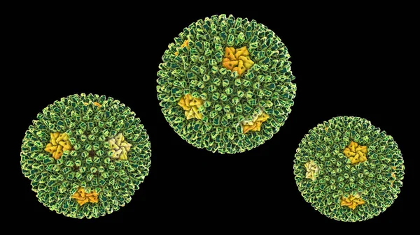Ilustración Informática Reovirus Este Virus Causa Infección Del Sistema Gastrointestinal — Foto de Stock