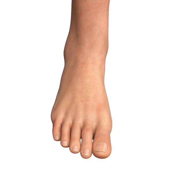 人类中年女性的脚 — 图库照片