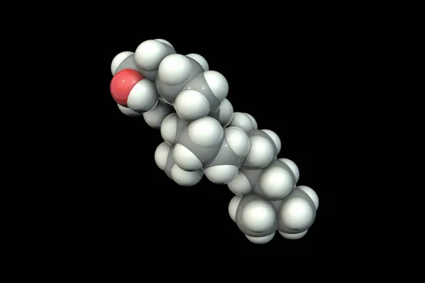 Μόριο Χοληστερόλης Εικονογράφηση Χοληστερόλη Είναι Ένα Σημαντικό Συστατικό Των Μεμβρανών — Φωτογραφία Αρχείου