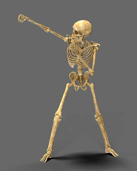 Skelet Boks Illüstrasyon Boks Pozisyonunda Insan Iskeleti — Stok fotoğraf