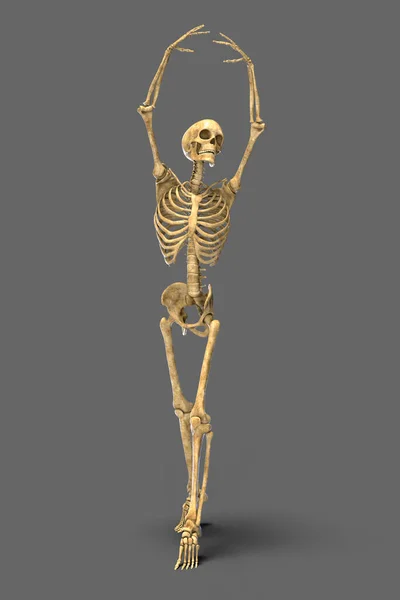 Танцующий Скелет Иллюстрация Человеческий Скелет Балетной Позе — стоковое фото