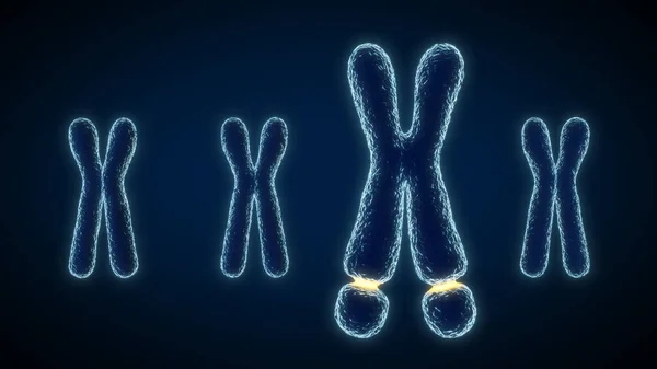 Illustration Bräcklig Syndrom Kromosom Kromosomen Innehåller Ett Ömtåligt Ställe Gul — Stockfoto