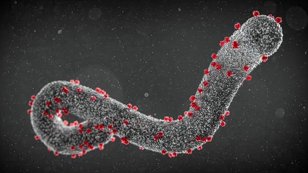 Ilustración Del Virus Marburg Virus Arn Tubular Ácido Ribonucleico Que —  Fotos de Stock