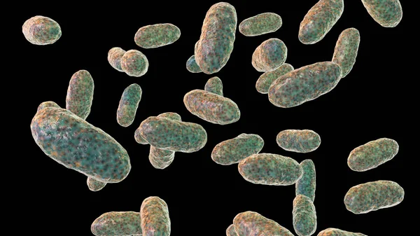 Aggregatibacter Bacteria Computer Illustration Aggregatibacter Gram Negative Bacteria Most Commonly — Stockfoto