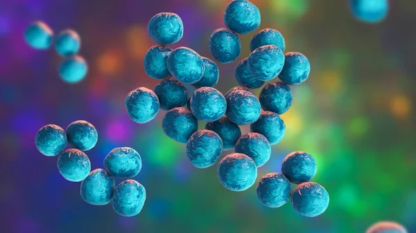 Staphylococcus Lugdunensis Bacteria Computer Illustration Gram Positive Bacterium Can Occur — ストック写真