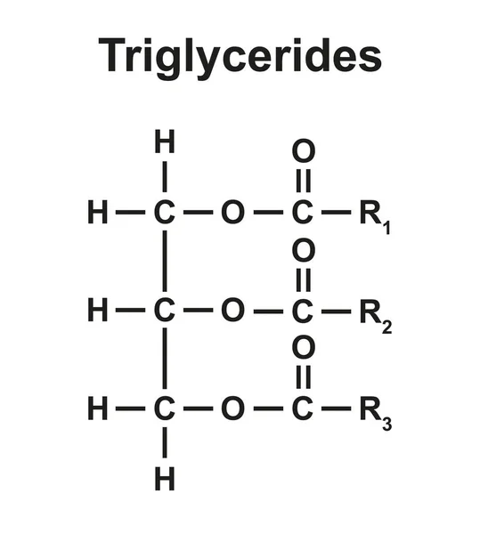 Triglicerid Kémiai Szerkezetének Illusztrációja — Stock Fotó