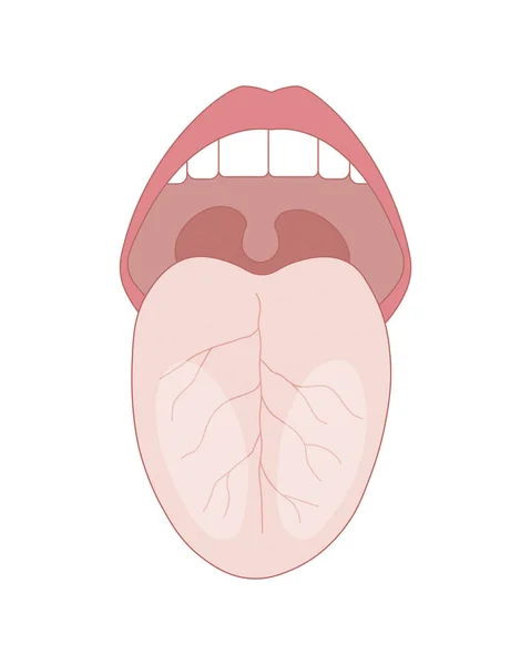 背景为白色的人类舌头 — 图库照片