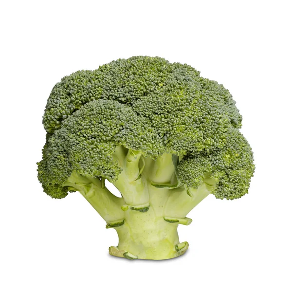Brokkoli Brassica Oleracea Fehér Alapon Izolálva — Stock Fotó