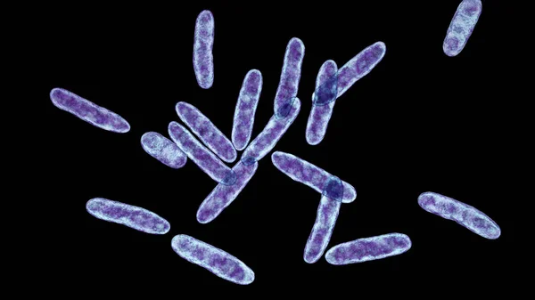 Cardiobacterium Hominis Bacterie Computer Illustratie Deze Gram Negatieve Bacterie Normaal — Stockfoto