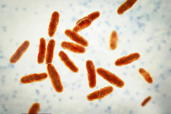 Bactérias Clavibacter Ilustração Computacional Este Gênero Bactérias Contém Fitopatógenos Clavibacter — Fotografia de Stock