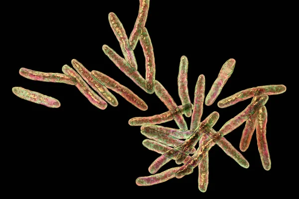 Mycobacterium Ulcerans Εικονογράφηση Υπολογιστή — Φωτογραφία Αρχείου