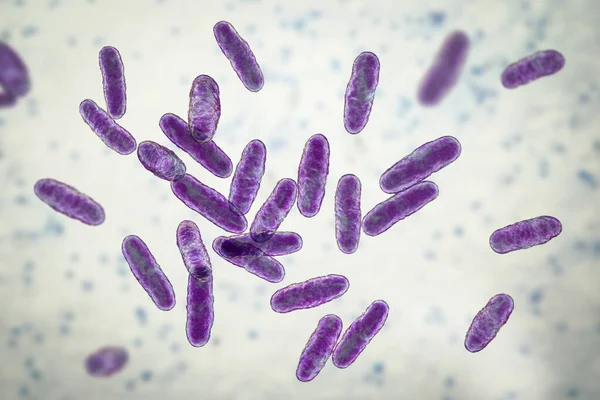 Бактерии Клавибактера Компьютерная Иллюстрация Род Бактерий Содержит Патогены Растений Clavibacter — стоковое фото
