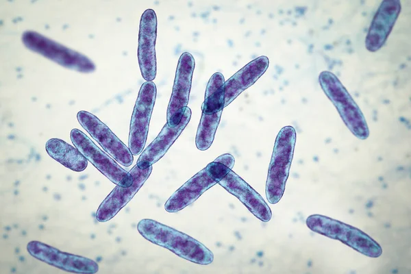 Bakterie Kardiobacterium Hominis Počítačová Ilustrace Tato Gramnegativní Bakterie Obvykle Přítomna — Stock fotografie