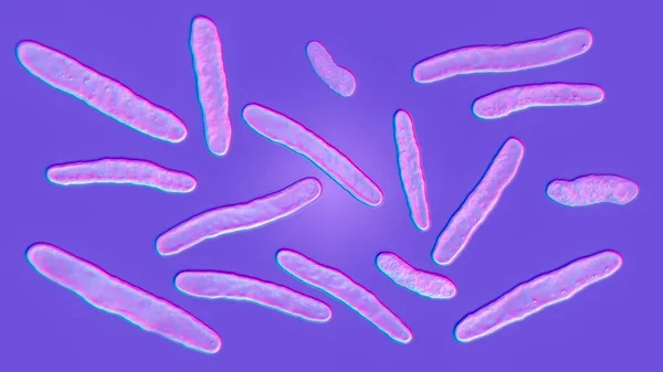 Bacterias Tuberculosis Ilustración Por Computadora Bacteria Mycobacterium Tuberculosis Bacteria Gram — Foto de Stock