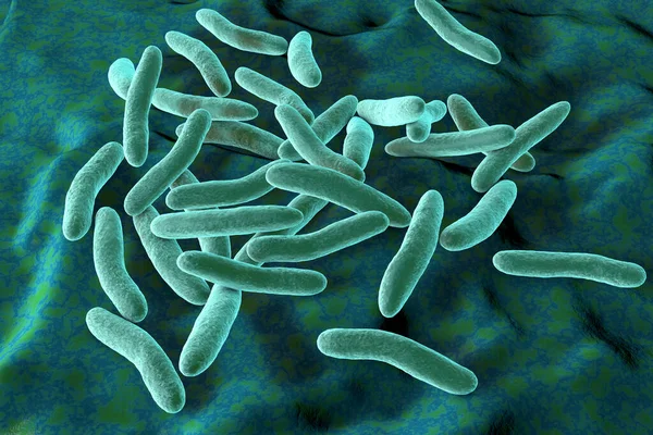 Pseudoalteromonas Tetraodonis Bakterisi Bilgisayar Çizimi Deniz Bakterileri Kirpi Balığının Yüzeyinde — Stok fotoğraf