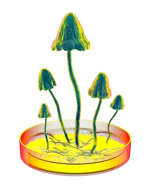 Грибы Растут Лаборатории Компьютерная Иллюстрация Представляющая Понятия Науки Биотехнологии Биологические — стоковое фото