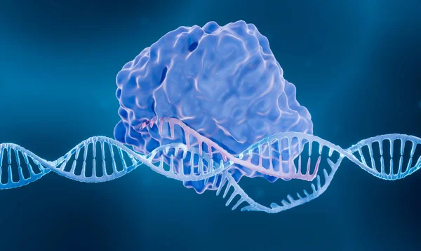 Crispr Cas9 Genom Editing Enzym Computerillustration — Stockfoto