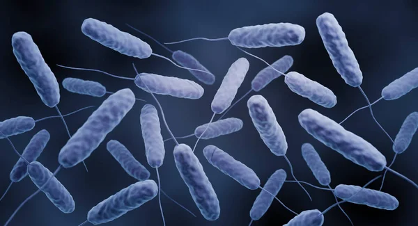 Computerillustratie Van Vibrio Cholerae Bacteriën — Stockfoto