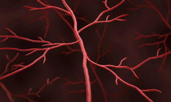 Zdjęcie Komputerowe Naczyń Krwionośnych — Zdjęcie stockowe