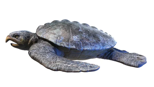Illustration Einer Archelon Meeresschildkröte — Stockfoto
