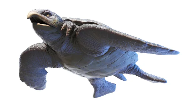 Ilustracja Prehistorycznego Żółwia Morskiego Archelon — Zdjęcie stockowe