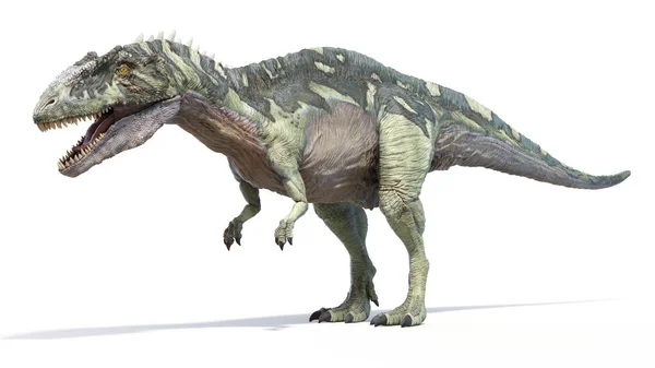 Illustrazione Dinosauro Acrocanthosaurus — Foto Stock