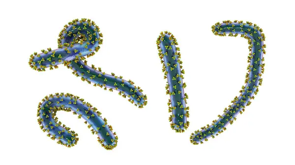 Marburg Virüsleri Bilgisayar Çizimleri Rna Ribonükleik Asit Virüsü Marburg Kanamalı — Stok fotoğraf