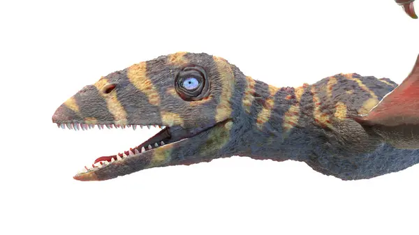 Peteinosaurus Pterosaurus Illusztrációja — Stock Fotó