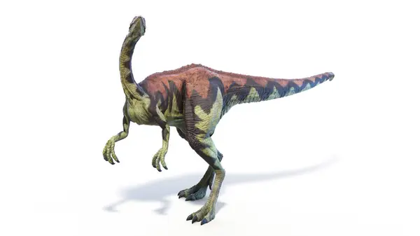 Illustration Archaeornithomimus Dinosaur — Stock Photo, Image