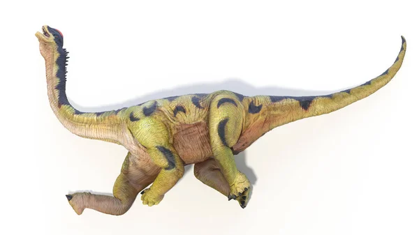 Illustration Camarasaurus Dinosaur — Stock Photo, Image