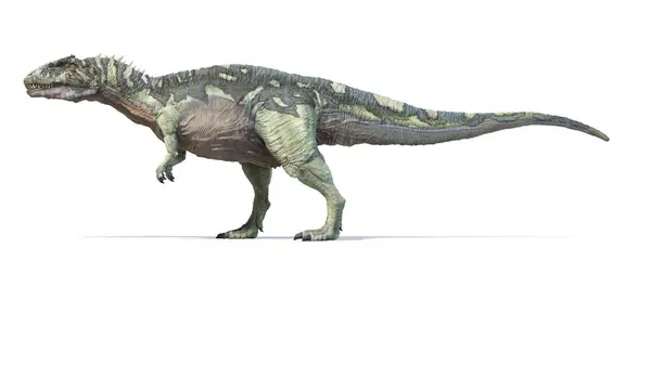 Иллюстрация Динозавра Акрокантозавра — стоковое фото