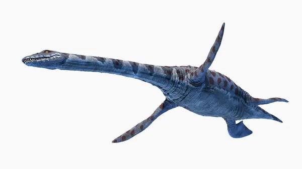 Attenborosaurus Plesiosaur Çizimi — Stok fotoğraf