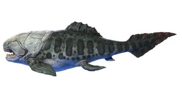 ダンクルステウスの先史時代の魚のイラスト — ストック写真