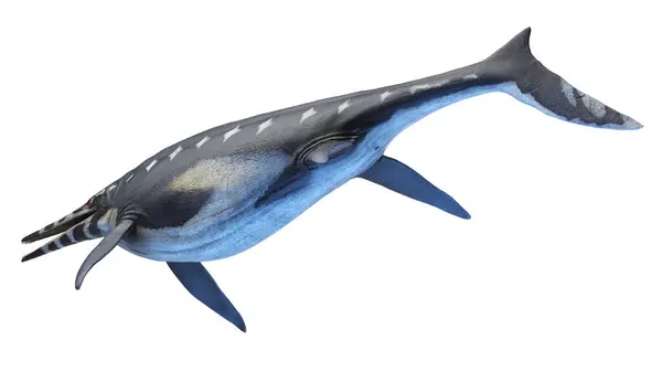 Shonisaurus Ichthyosaurus Illusztrációja — Stock Fotó