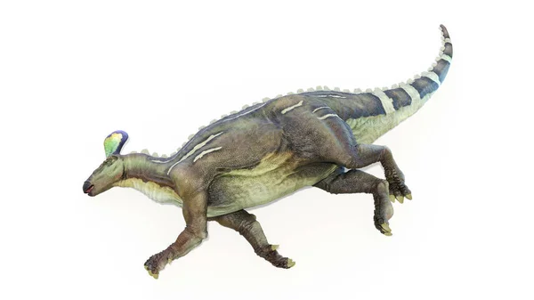 Illustratie Van Een Tsintaosaurus Dinosaurus — Stockfoto