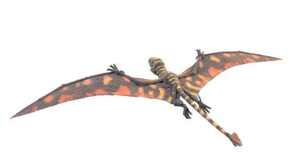 Illustrazione Uno Pterosauro Peteinosaurus — Foto Stock