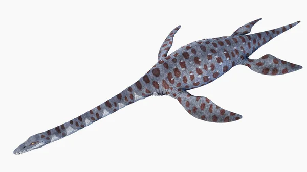 Illustration Attenborosaurus Plesiosaur — Stock Photo, Image