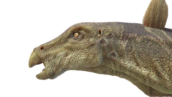 Ilustrace Dinosaura Kentrosaura — Stock fotografie