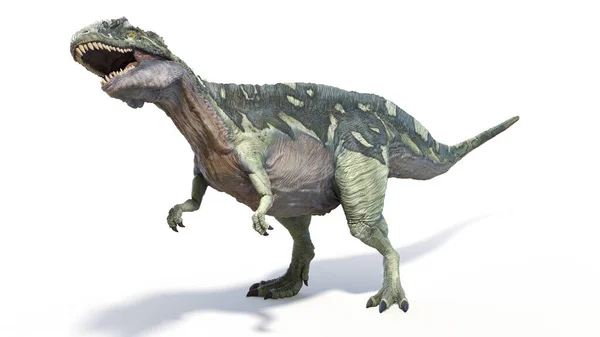 Illusztrációja Acrocanthosaurus Dinoszaurusz — Stock Fotó