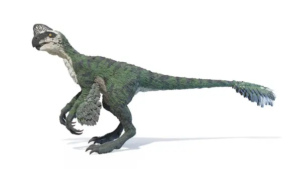 Illustrazione Dinosauro Oviraptor — Foto Stock