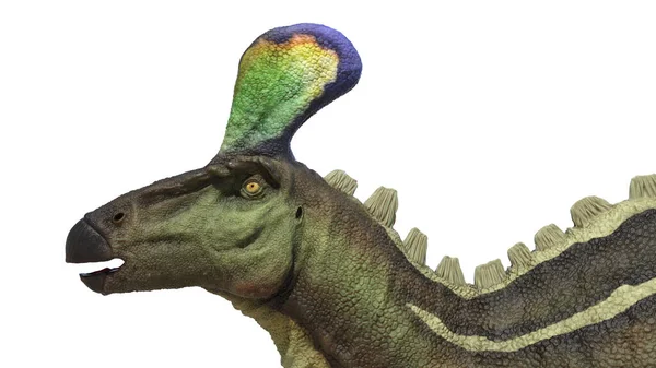 Εικονογράφηση Ενός Δεινόσαυρου Tsintaosaurus — Φωτογραφία Αρχείου