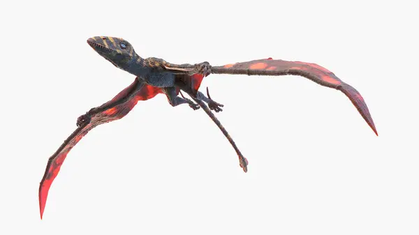 Illustration Peteinosaurus Pterosaur — Photo