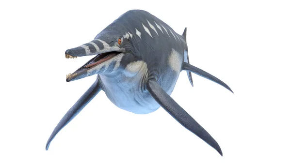 Illustration Shonisaurus Ichthyosaur — Stock Photo, Image