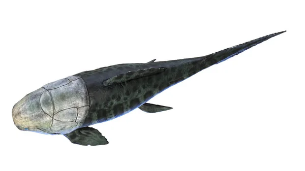 Illustrazione Pesce Preistorico Dunkleosteus — Foto Stock