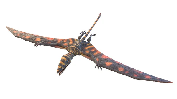 Illustration Peteinosaurus Pterosaur — Stock Photo, Image