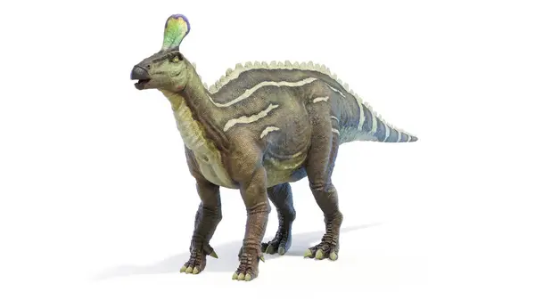 Illustrazione Dinosauro Tsintaosaurus — Foto Stock