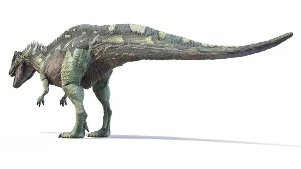 Ilustrasi Dinosaurus Acrocanthosaurus — Stok Foto