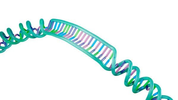 Molécula Adn Ácido Desoxirribonucleico Ilustração — Fotografia de Stock