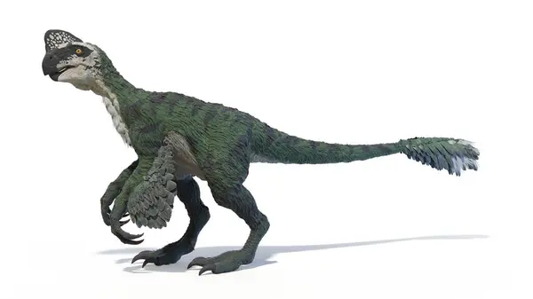 Illustration Oviraptor Dinosaur — Stock Photo, Image